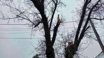  ДТЕК повернув світло в 30 населених пунктів Одещини, знеструмлених через негоду