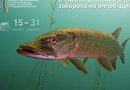 З 15 ЛЮТОГО СТАРТУЄ НЕРЕСТОВА ЗАБОРОНА НА ВИЛОВ ЩУКИ